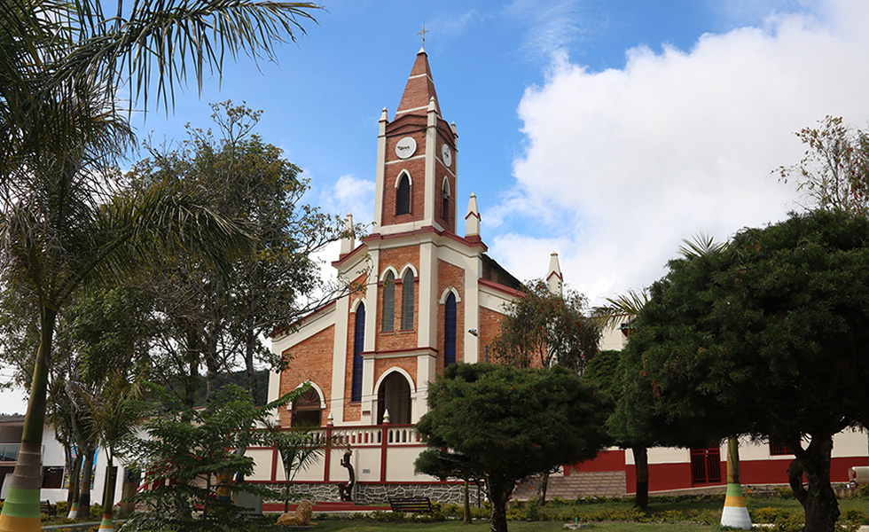 El Guacamayo