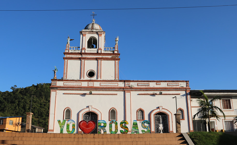 Rosas