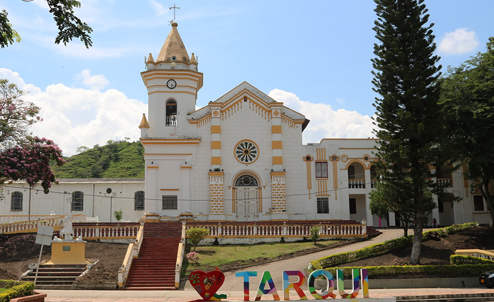 Tarqui