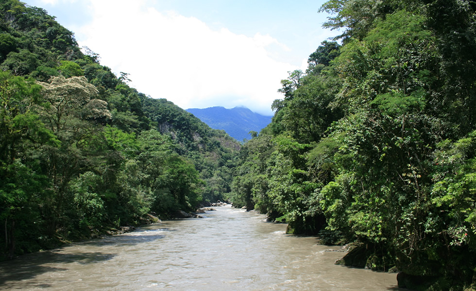 Río Guavio