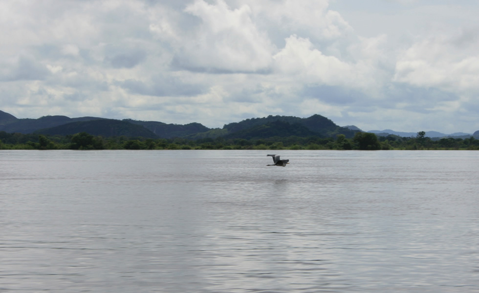 Río Orinoco