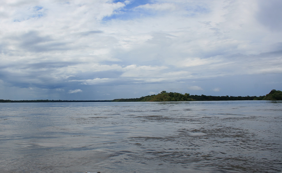 Estrella fluvial de oriente