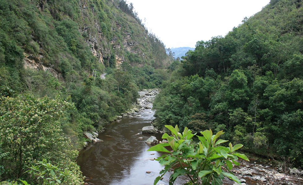 Río Suárez