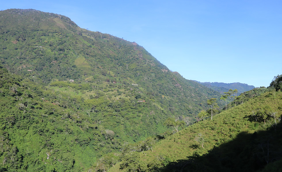 Cordillera Occidental