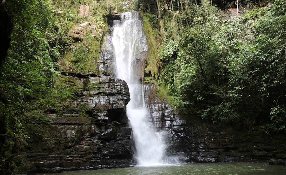 Cascada Puente