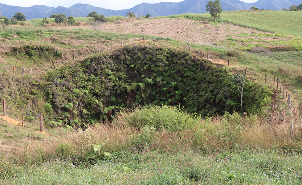 Hoyo de los Pájaros