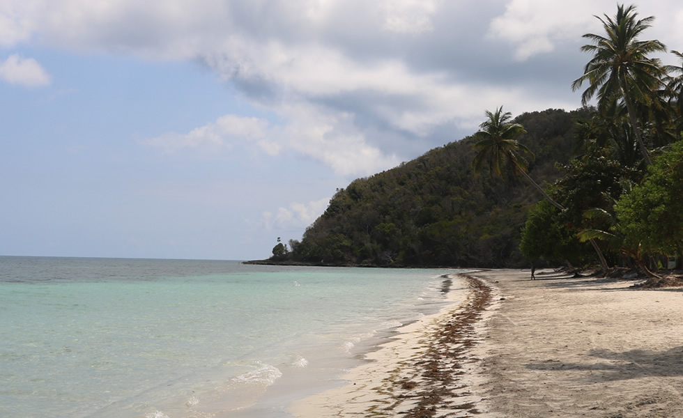 Playa Manchineelroad