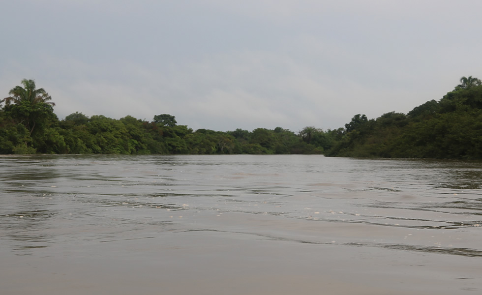 Río Casanare