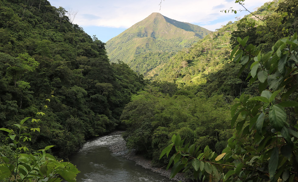 Río Negro