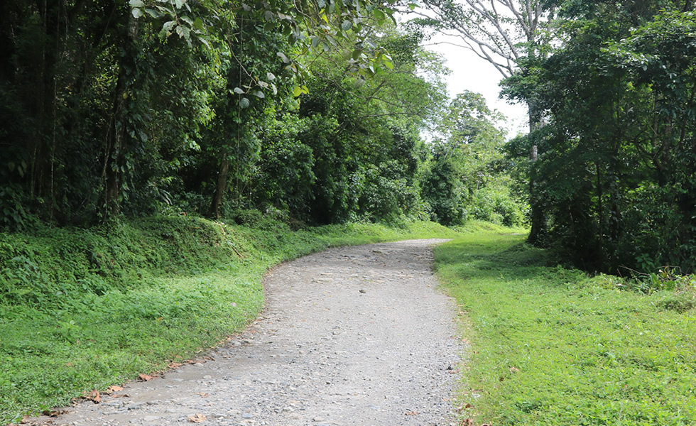 Vía Hato Corozal