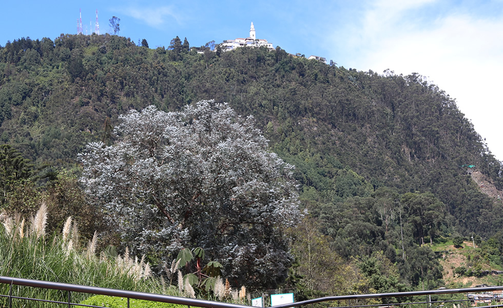 Monserrate