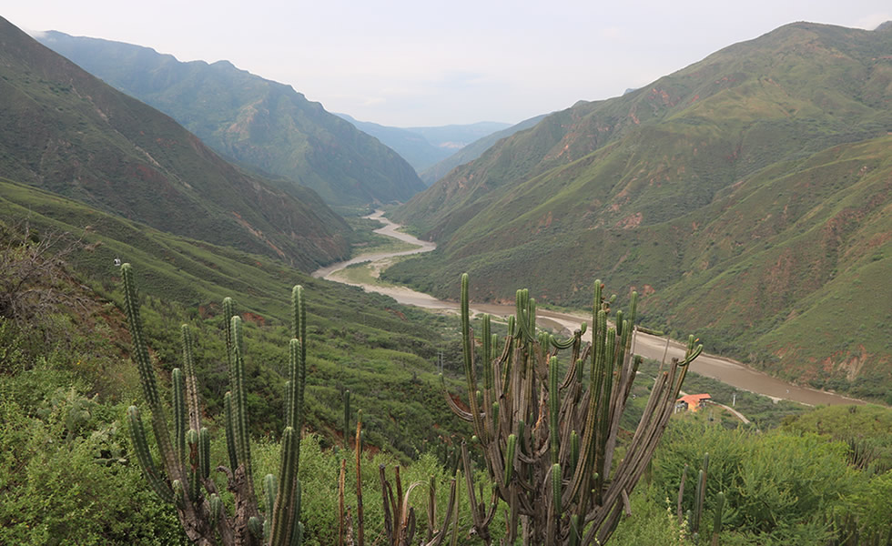 Chicamocha