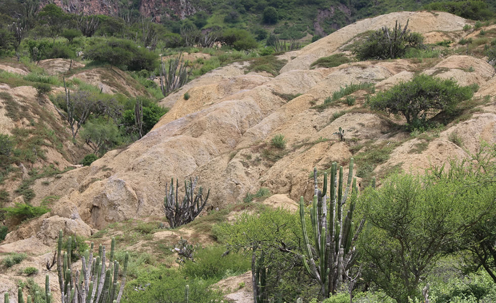 Desierto de Jutua