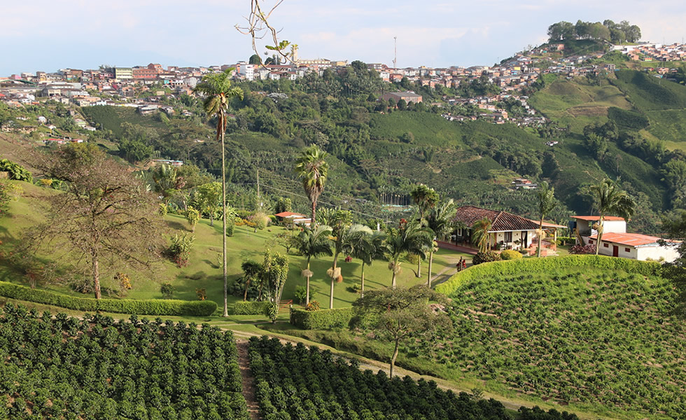 Risaralda