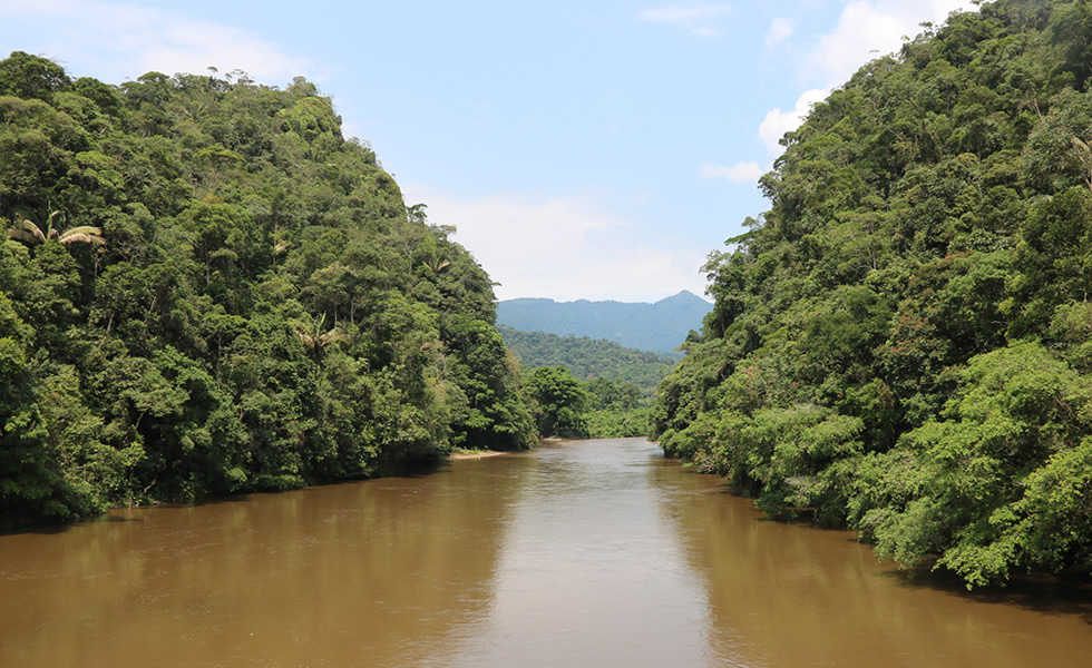 Río Fragua Grande