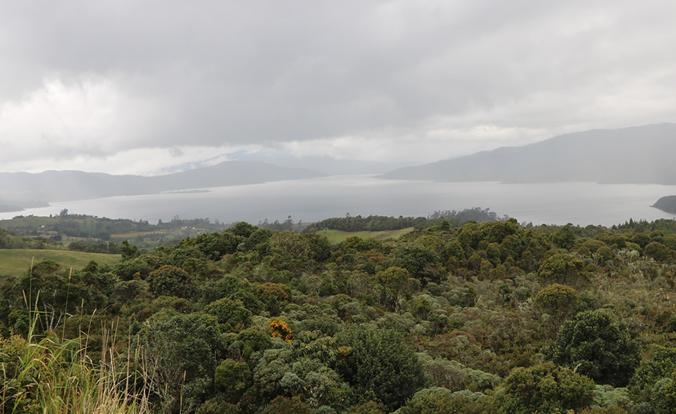 Laguna de la Cocha