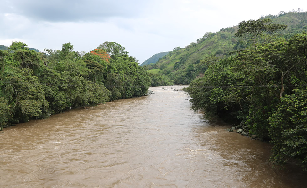 Río Magdalena