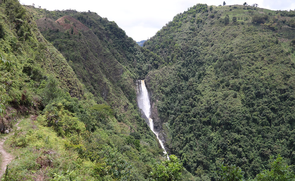 Salto de bordones