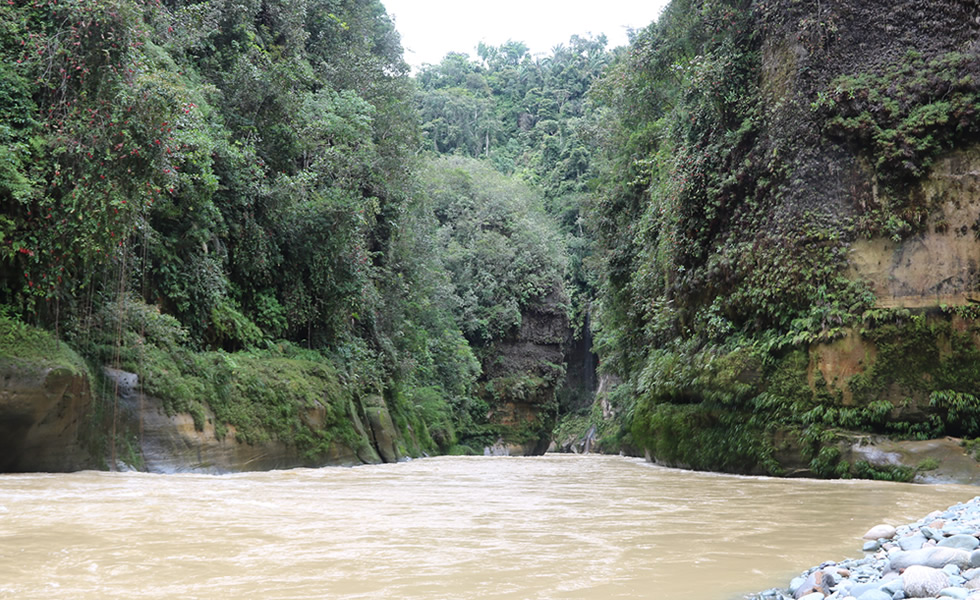 Río Güejar