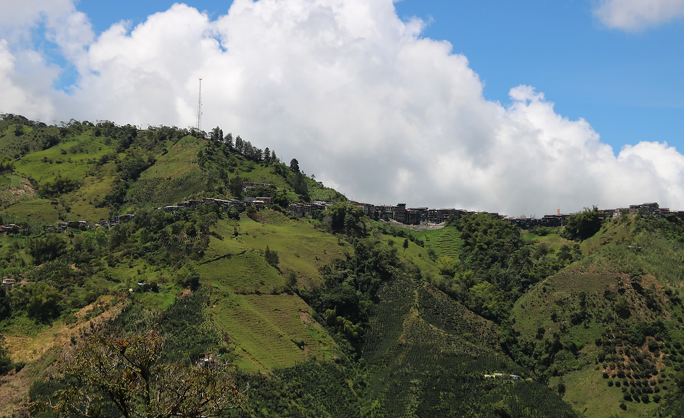 Corregimiento de Bolivia