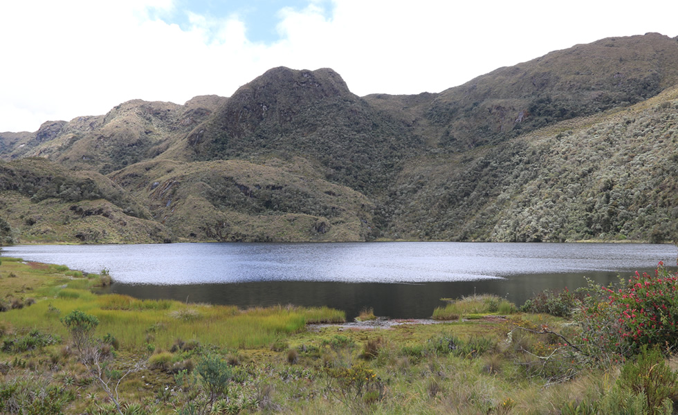 Laguna Bombona