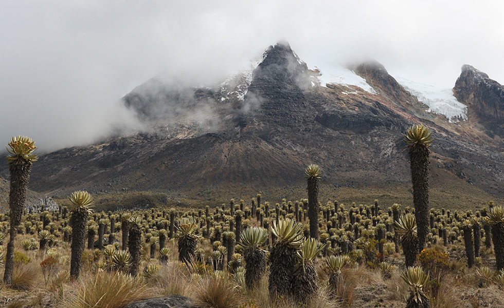 Nevado del Tolima