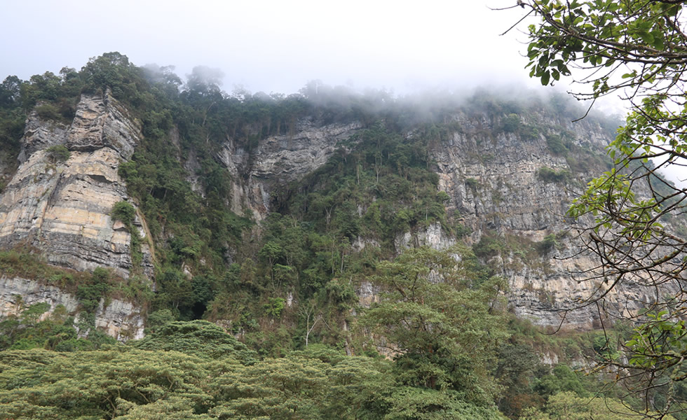 Parque Natural Chicaque