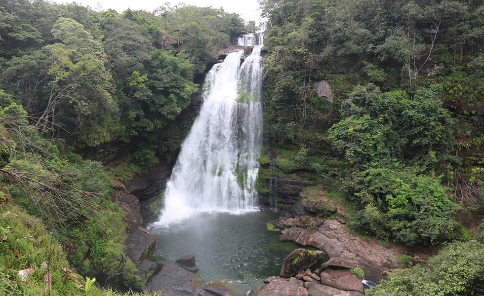 Caño Canoas