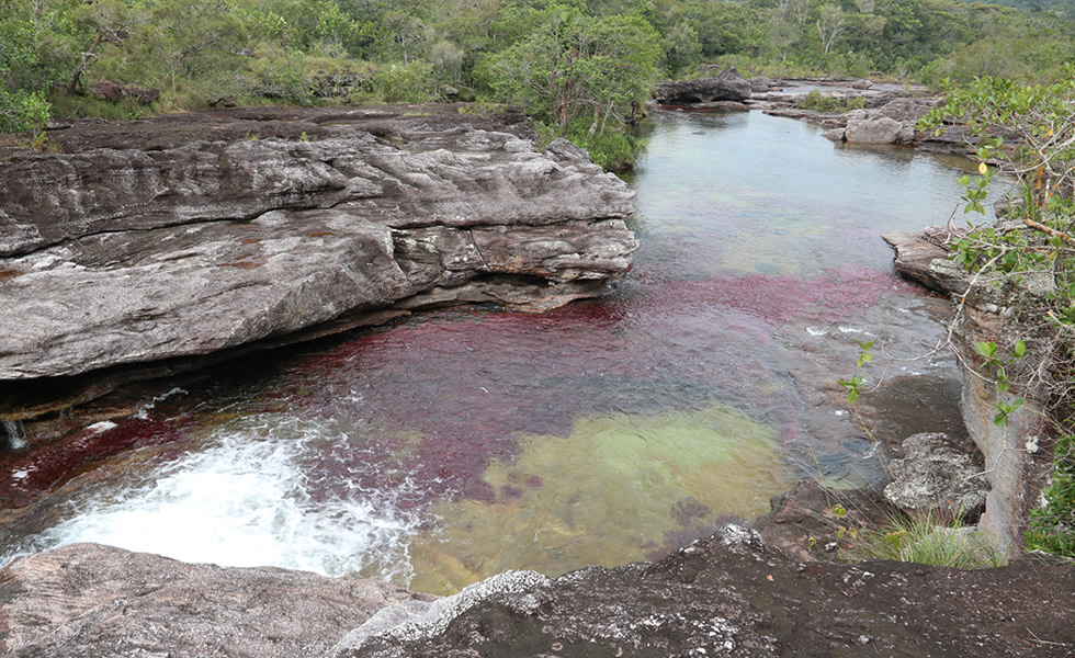 Caño Cristales