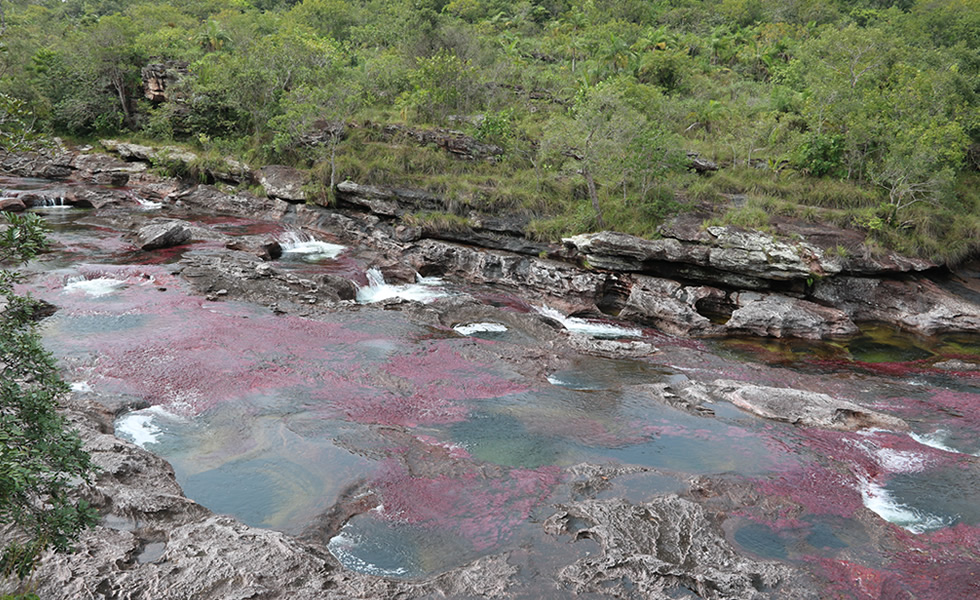 Caño Cristales