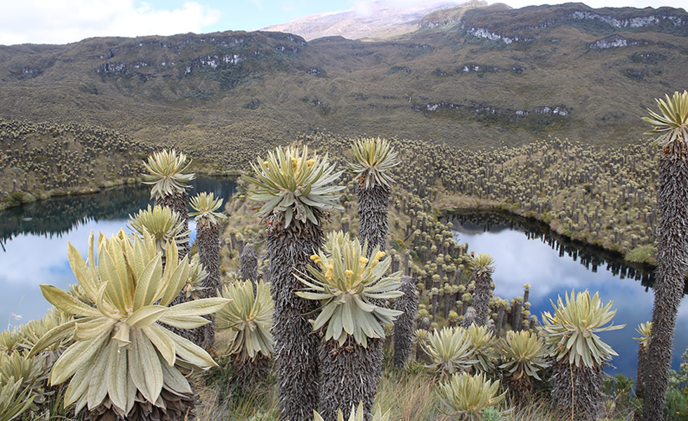 Laguna Corazón