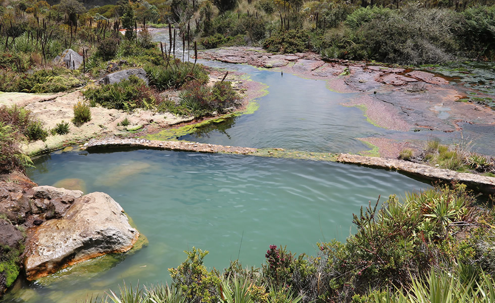 Termales Las Cabañas