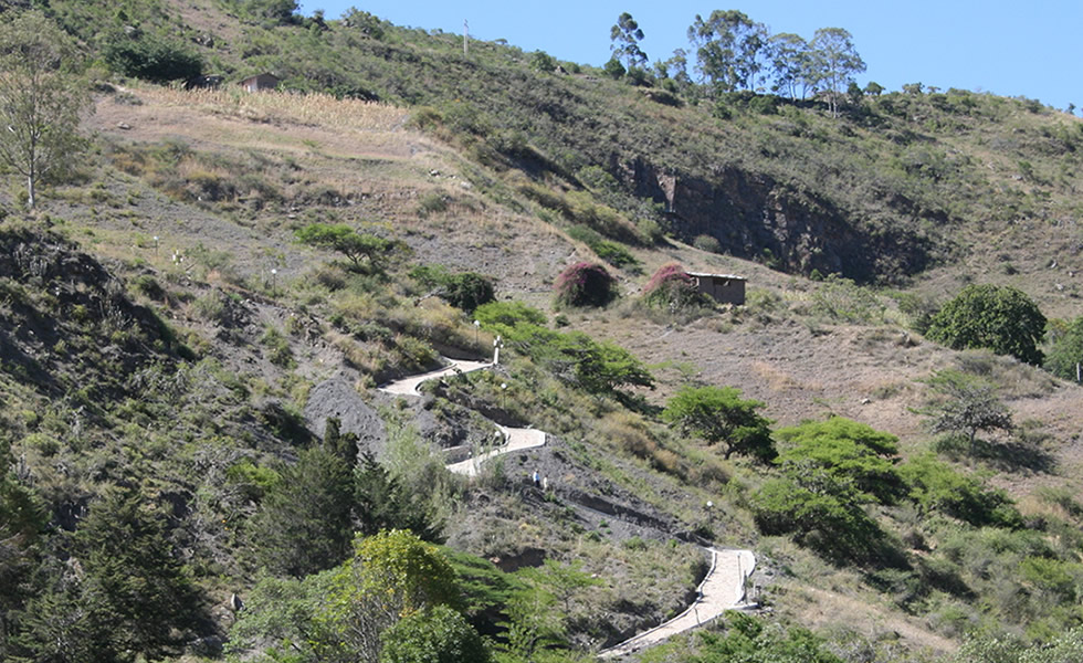 Camino al Palmar Tipacoque