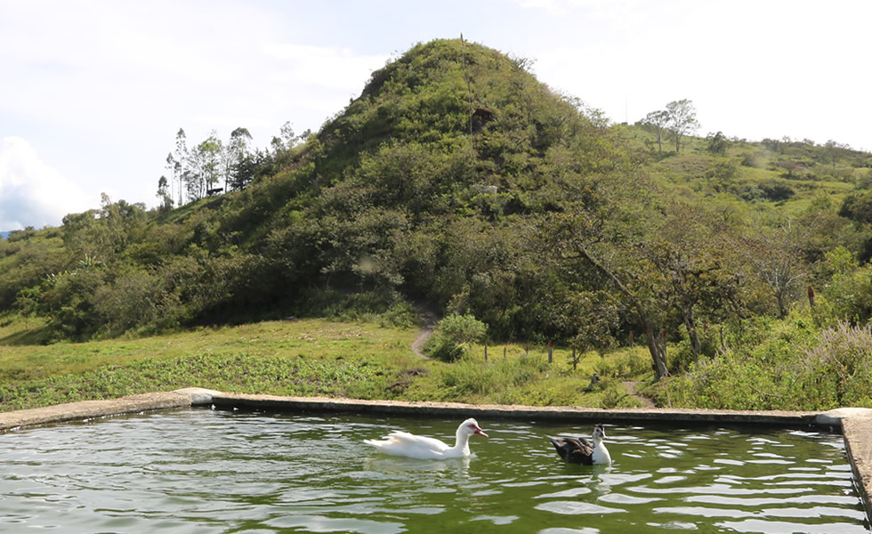 El Morro El Nogal Tipacoque