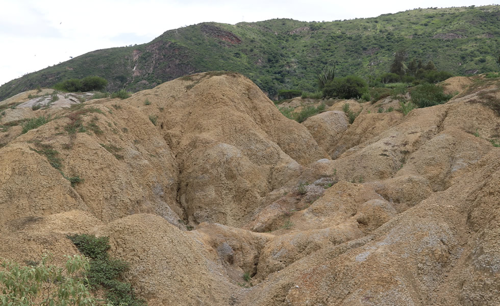 Desierto de Jutua Tipacoque