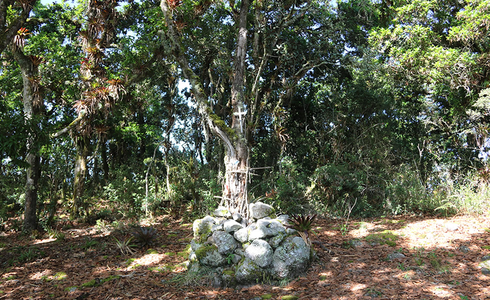 La Cruz del Roble Tipacoque