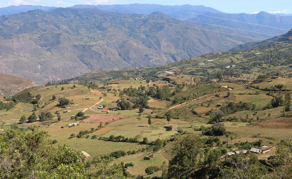 Vereda El Palmar Tipacoque